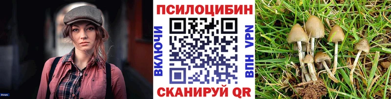 Галлюциногенные грибы Cubensis  Кулебаки 